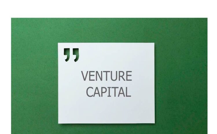  Venture Capital: Finanziamenti PNRR al via per Startup e PMI